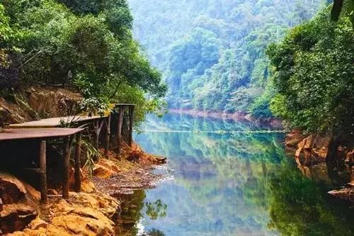 肇庆鼎湖山